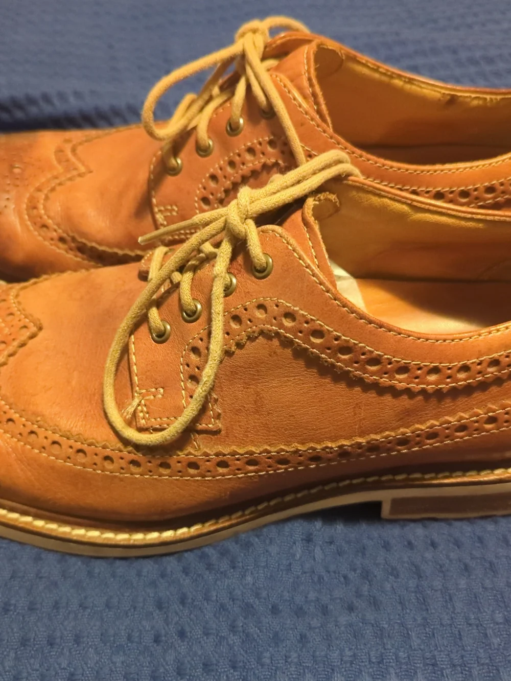 Sperry Men's Brown Gold Cup Leather Wingtip Derby Oxfords
